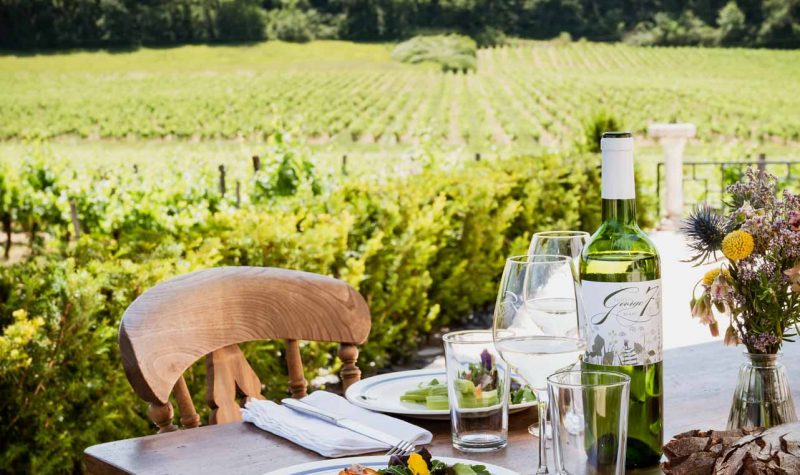 Les activités autour du vin