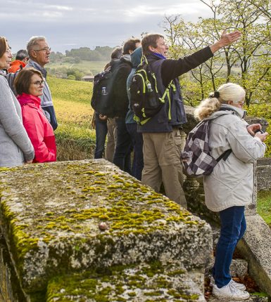 Les balades guidées