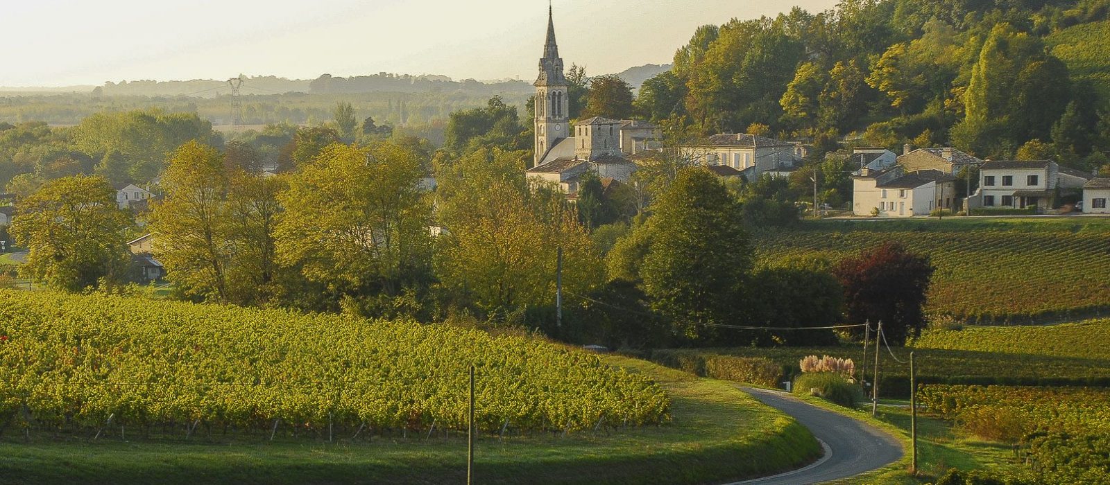 Vue sur le village de Saint Michel de Fronsac