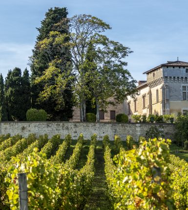 Irrésistible vignoble