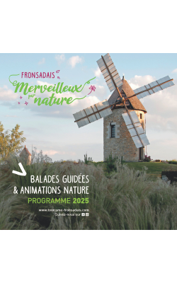 2025 Activities Guide (guided walks, workshops for curious little ones)