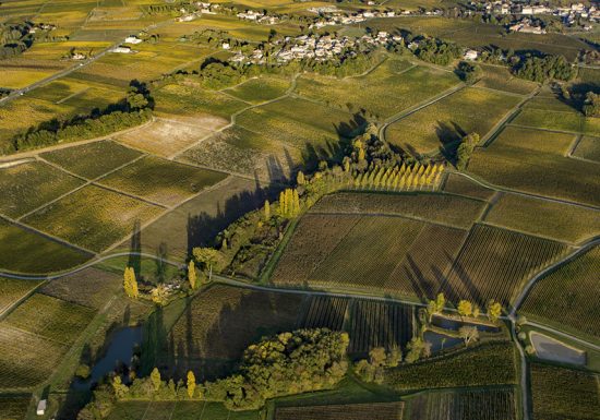 Château Haut Beynat – « Un dimanche au Château en Fronsadais-Libournais »