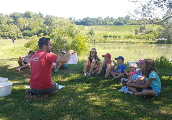 Atelier des p&rsquo;tits curieux « Les petites bêtes dans l&rsquo;eau »