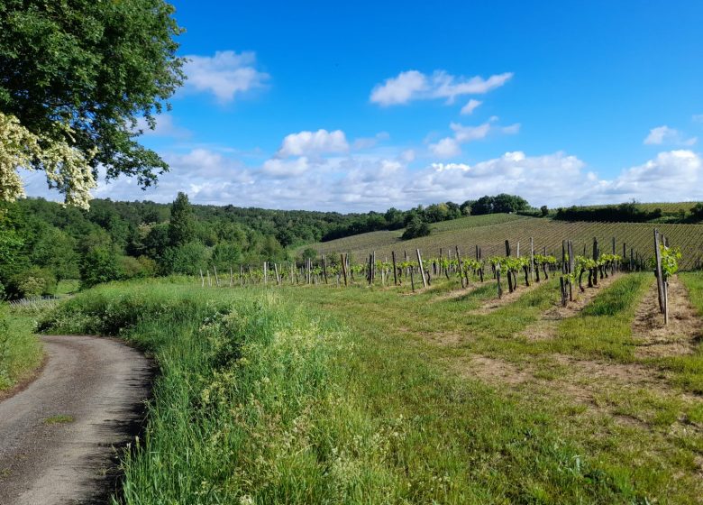 Boucle de la Vallée de l&rsquo;Isle