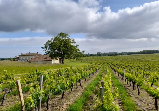 Boucle du Tertre de Thouil
