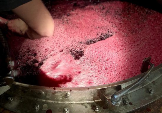 Château CarlMagnus – Maison Roux Oulié