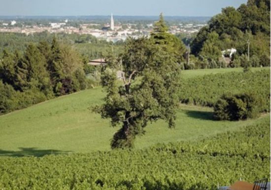 Château CarlMagnus – Maison Roux Oulié