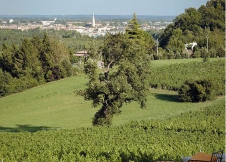 Château CarlMagnus – Maison Roux Oulié