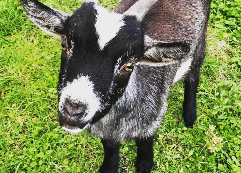 Ferme pédagogique l&rsquo;Empreinte