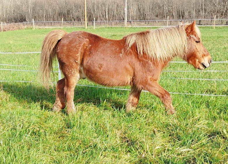 Ferme pédagogique l&rsquo;Empreinte