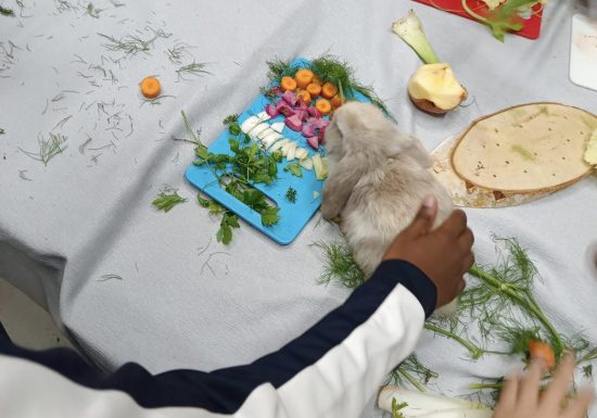 Ferme pédagogique l’Empreinte