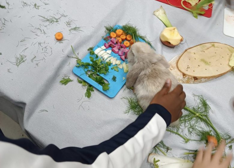 Ferme pédagogique l&rsquo;Empreinte