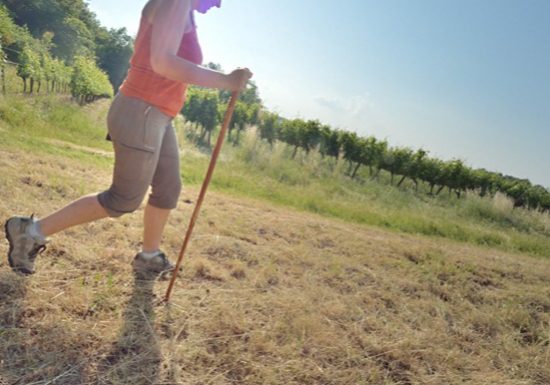 Château Boutinet – « Un dimanche au Château en Fronsadais-Libournais »