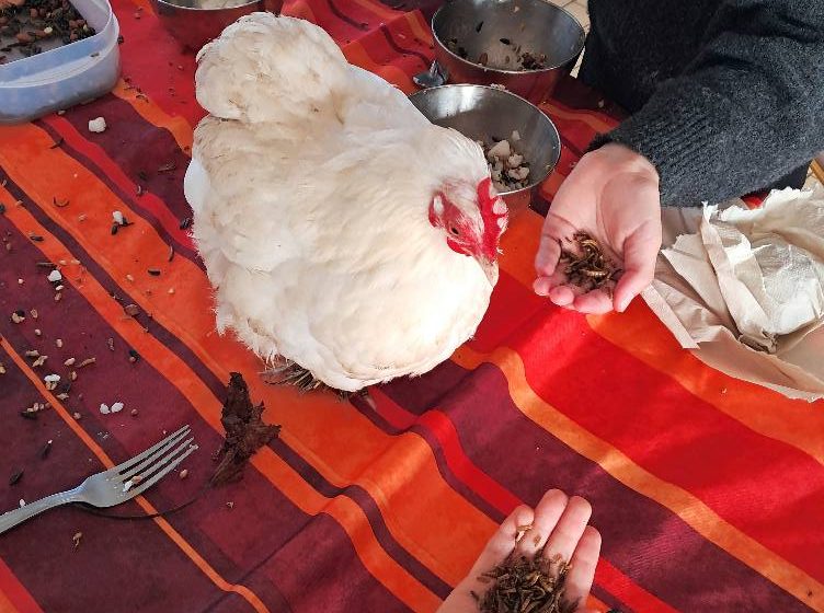 Ferme pédagogique l&rsquo;Empreinte