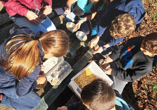 Atelier des p&rsquo;tits curieux : « Immersion à la ferme : les secrets des insectes pollinisateurs, les abeilles mais pas que !! »