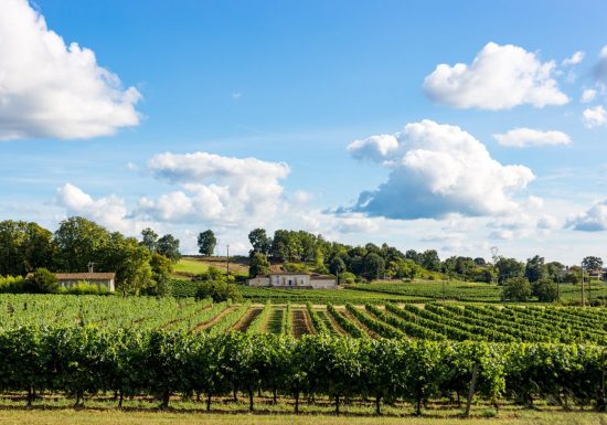Les Rando-Tapas du Château Boutinet à Villegouge