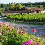 Château La Brande – « Un dimanche au Château en Fronsadais-Libournais »