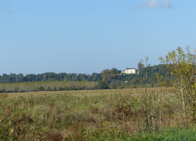 Boucle du Petit Chartron