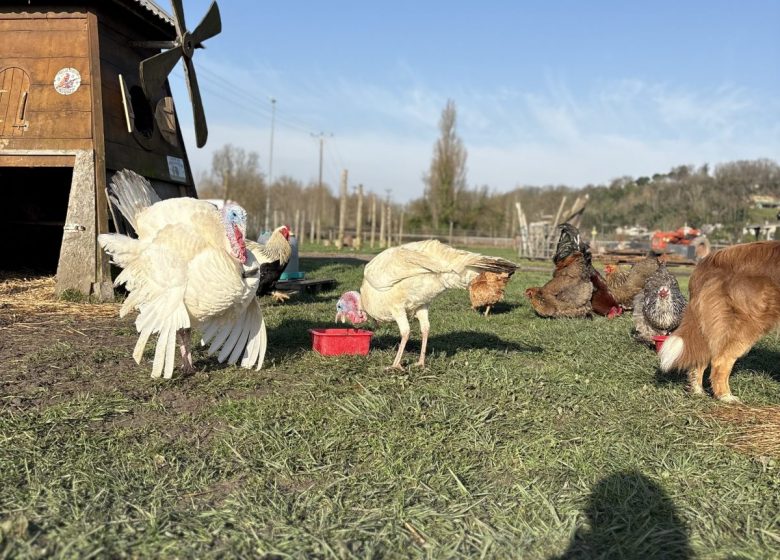Ferme pédagogique Ensemble à la Ferme