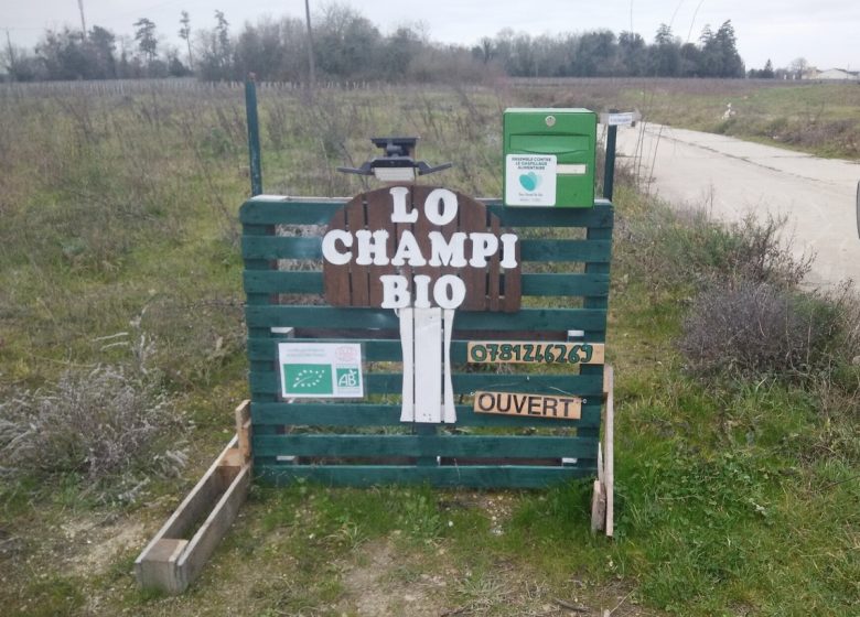 Lo Champi Bio