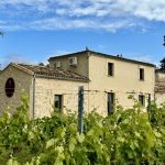Château L&rsquo;Eperon – « Un dimanche au Château en Fronsadais-Libournais »
