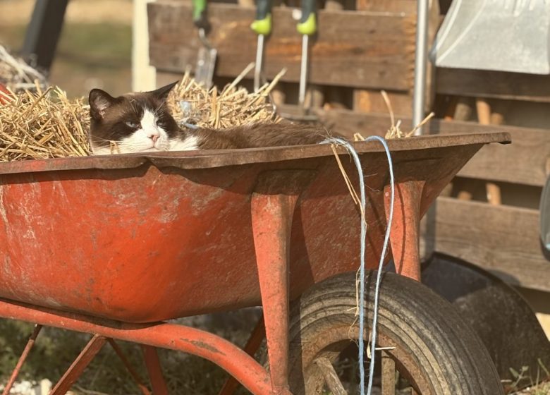 Ferme pédagogique Ensemble à la Ferme