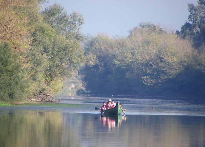 Balade au fil de l’eau en Canot Rabaska