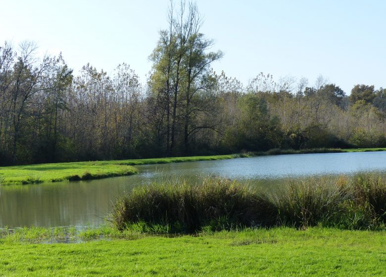 Boucle du Petit Chartron