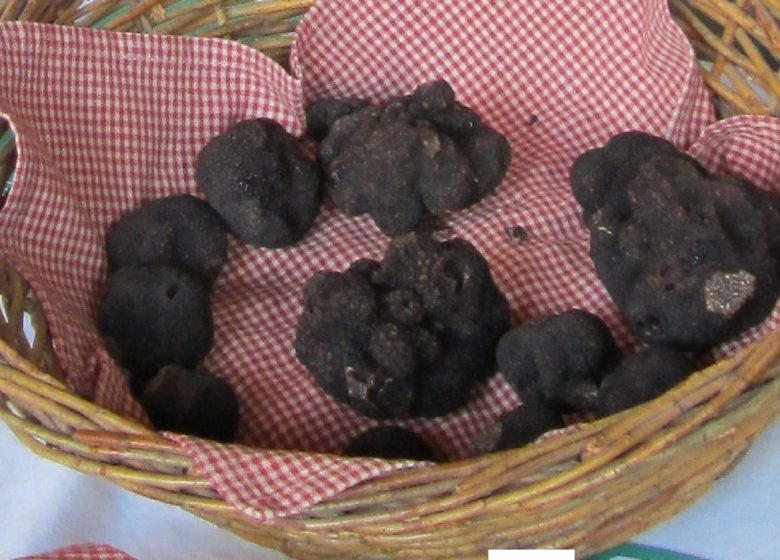 Vignobles et Truffières Dorneau