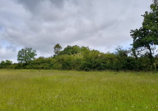Boucle du Tertre de Thouil