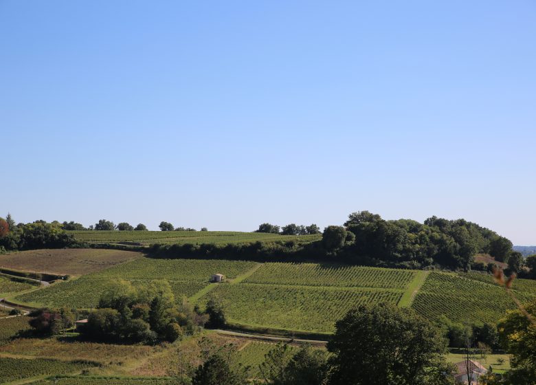 Boucle des Terrasses