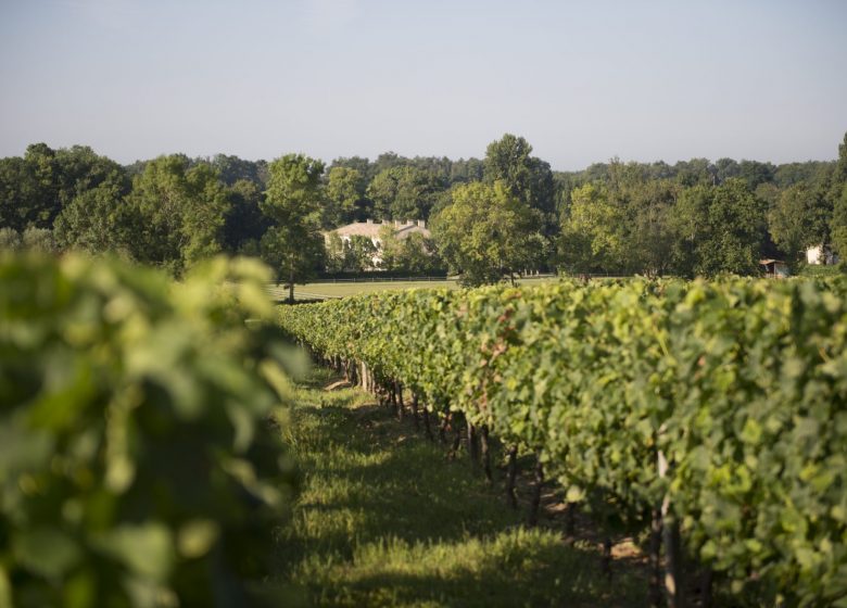 The winegrowers of Puisseguin Lussac-Saint-Emilion