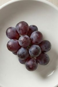 Château Plain Point – Secrets de cépages