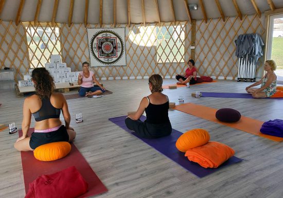 Yoga and Vins au Château Boutinet