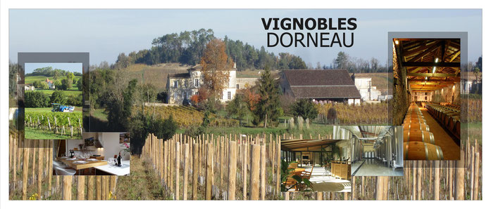 Wijngaarden van Dorneau - Château La Croix