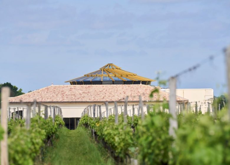 Château Plain Point – Balade en terres de Merveilles