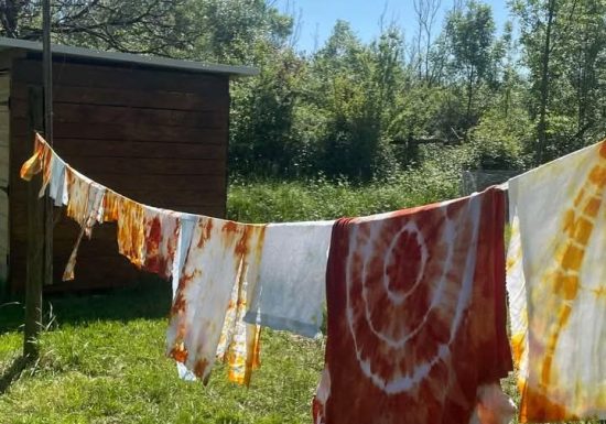 Atelier des p&rsquo;tits curieux : « Immersion à la ferme : Une palette de couleur pour les lapins et cochons d&rsquo;Inde!! »