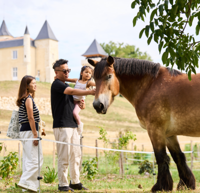 Nourrir les animaux de la ferme et atelier créatif au Château Plain Point