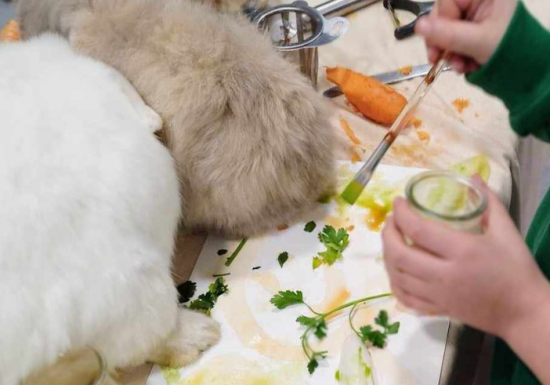 Atelier des p&rsquo;tits curieux : « Immersion à la ferme : Une palette de couleur pour les lapins et cochons d&rsquo;Inde!! »